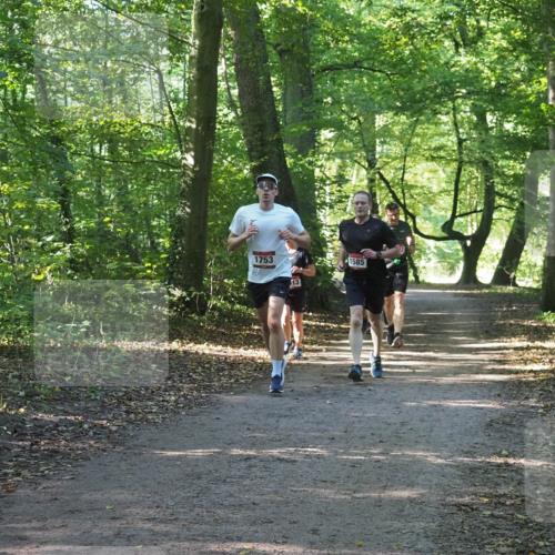 22.09.2024 - 32. Volkslauf durch das schöne Alstertal Miley Keyser http://msf.ph/oto/7137261 22.09.2024 10:22:07 Laufen 1753, 13, 1585 meine-sportfotos.de