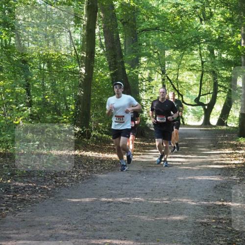 22.09.2024 - 32. Volkslauf durch das schöne Alstertal Miley Keyser http://msf.ph/oto/7137262 22.09.2024 10:22:07 Laufen 1753, 1585 meine-sportfotos.de