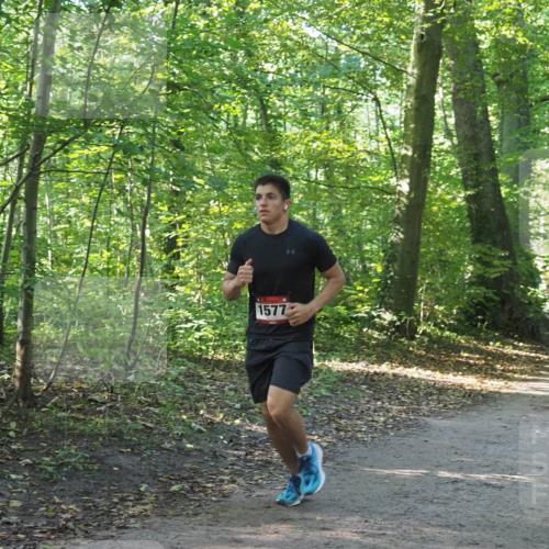 22.09.2024 - 32. Volkslauf durch das schöne Alstertal Miley Keyser http://msf.ph/oto/7137267 22.09.2024 10:21:58 Laufen 1577 meine-sportfotos.de