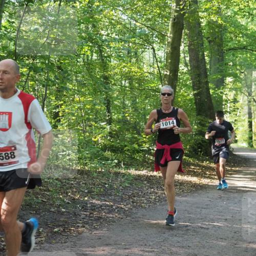 22.09.2024 - 32. Volkslauf durch das schöne Alstertal Miley Keyser http://msf.ph/oto/7137272 22.09.2024 10:21:56 Laufen 1588, 1014, 1577 meine-sportfotos.de
