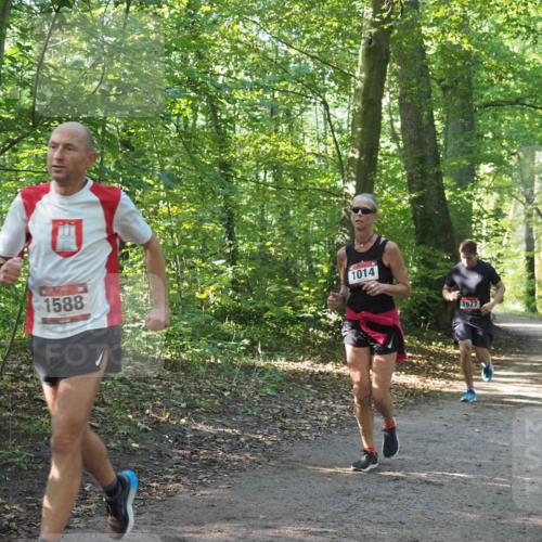 22.09.2024 - 32. Volkslauf durch das schöne Alstertal Miley Keyser http://msf.ph/oto/7137273 22.09.2024 10:21:56 Laufen 1588, 1014, 1577 meine-sportfotos.de