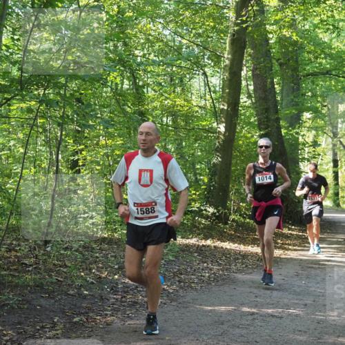 22.09.2024 - 32. Volkslauf durch das schöne Alstertal Miley Keyser http://msf.ph/oto/7137274 22.09.2024 10:21:55 Laufen 1588, 1014, 1577 meine-sportfotos.de