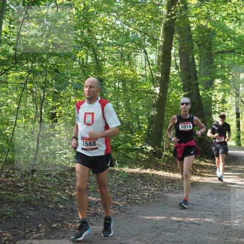 22.09.2024 - 32. Volkslauf durch das schöne Alstertal Miley Keyser http://msf.ph/oto/7137275 22.09.2024 10:21:55 Laufen 1588, 1014, 1577 meine-sportfotos.de