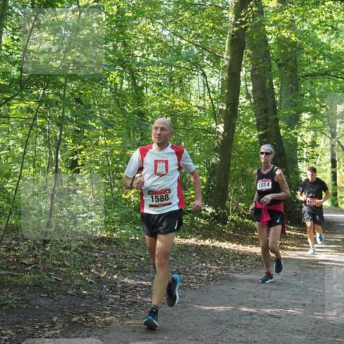 22.09.2024 - 32. Volkslauf durch das schöne Alstertal Miley Keyser http://msf.ph/oto/7137276 22.09.2024 10:21:55 Laufen 1014, 1588, 157 meine-sportfotos.de