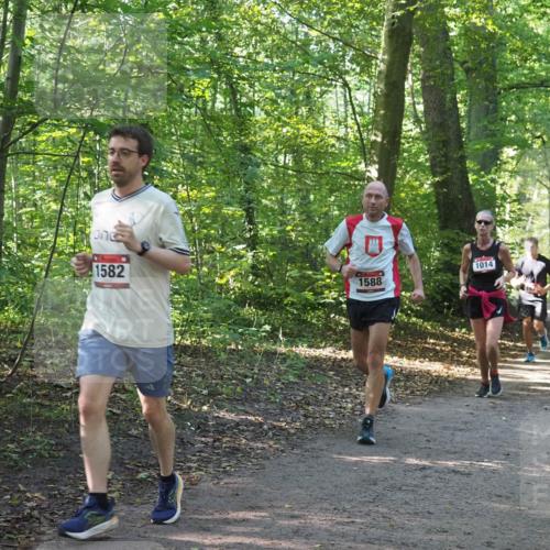 22.09.2024 - 32. Volkslauf durch das schöne Alstertal Miley Keyser http://msf.ph/oto/7137277 22.09.2024 10:21:54 Laufen 1582, 1014, 1588 meine-sportfotos.de