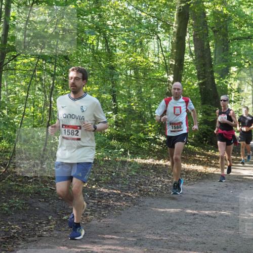 22.09.2024 - 32. Volkslauf durch das schöne Alstertal Miley Keyser http://msf.ph/oto/7137278 22.09.2024 10:21:54 Laufen 1582, 1588, 1014 meine-sportfotos.de