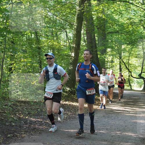 22.09.2024 - 32. Volkslauf durch das schöne Alstertal Miley Keyser http://msf.ph/oto/7137286 22.09.2024 10:21:51 Laufen 1572, 1617, 582, 88 meine-sportfotos.de
