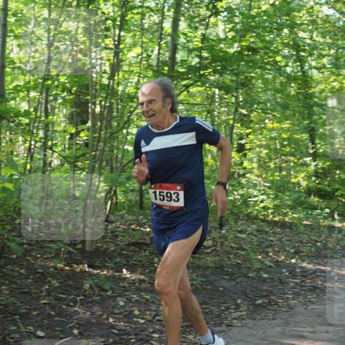22.09.2024 - 32. Volkslauf durch das schöne Alstertal Miley Keyser http://msf.ph/oto/7137290 22.09.2024 10:21:43 Laufen 1593 meine-sportfotos.de