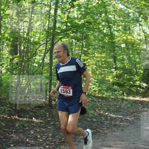 22.09.2024 - 32. Volkslauf durch das schöne Alstertal Miley Keyser http://msf.ph/oto/7137291 22.09.2024 10:21:43 Laufen 1593 meine-sportfotos.de