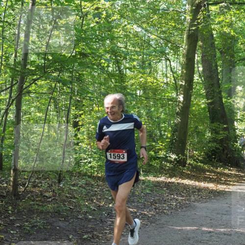 22.09.2024 - 32. Volkslauf durch das schöne Alstertal Miley Keyser http://msf.ph/oto/7137293 22.09.2024 10:21:42 Laufen 1593 meine-sportfotos.de