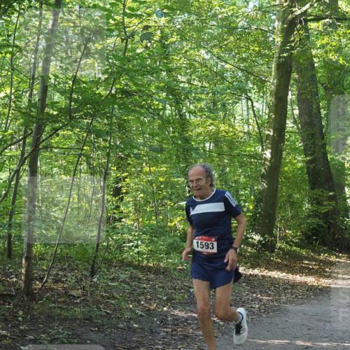 22.09.2024 - 32. Volkslauf durch das schöne Alstertal Miley Keyser http://msf.ph/oto/7137296 22.09.2024 10:21:42 Laufen 1593 meine-sportfotos.de