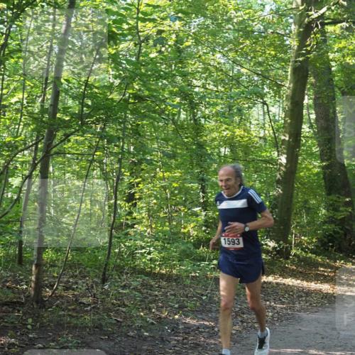 22.09.2024 - 32. Volkslauf durch das schöne Alstertal Miley Keyser http://msf.ph/oto/7137297 22.09.2024 10:21:42 Laufen 1593 meine-sportfotos.de