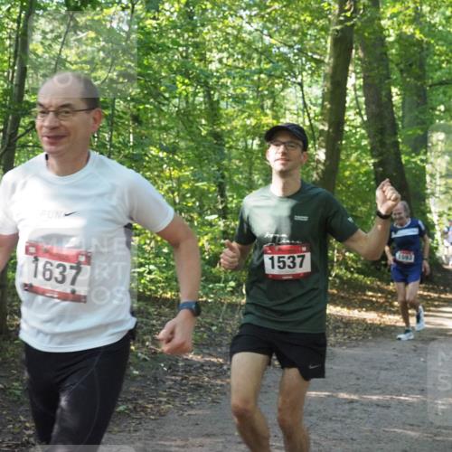 22.09.2024 - 32. Volkslauf durch das schöne Alstertal Miley Keyser http://msf.ph/oto/7137298 22.09.2024 10:21:40 Laufen 1637, 1537, 1593 meine-sportfotos.de