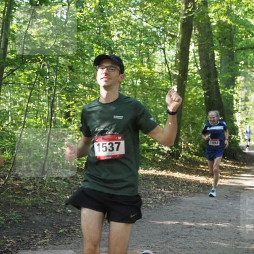 22.09.2024 - 32. Volkslauf durch das schöne Alstertal Miley Keyser http://msf.ph/oto/7137299 22.09.2024 10:21:40 Laufen 1537, 1593 meine-sportfotos.de