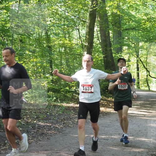 22.09.2024 - 32. Volkslauf durch das schöne Alstertal Miley Keyser http://msf.ph/oto/7137308 22.09.2024 10:21:39 Laufen 1637, 1537 meine-sportfotos.de