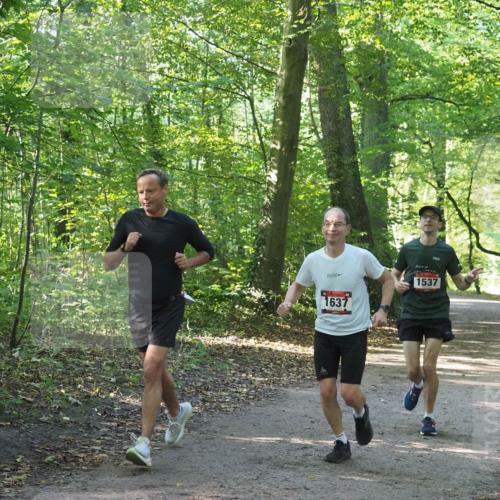 22.09.2024 - 32. Volkslauf durch das schöne Alstertal Miley Keyser http://msf.ph/oto/7137310 22.09.2024 10:21:39 Laufen 1637, 5, 1537 meine-sportfotos.de