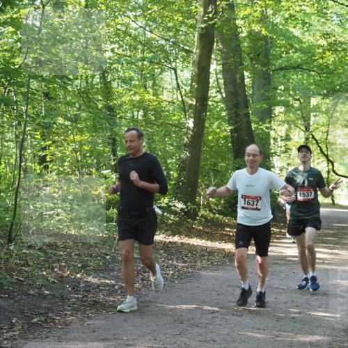 22.09.2024 - 32. Volkslauf durch das schöne Alstertal Miley Keyser http://msf.ph/oto/7137312 22.09.2024 10:21:38 Laufen 1637, 1537 meine-sportfotos.de