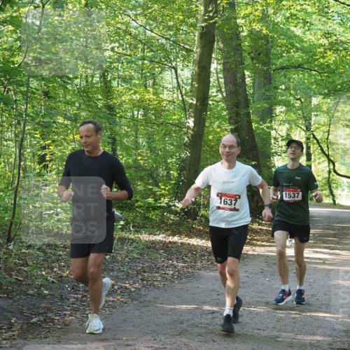 22.09.2024 - 32. Volkslauf durch das schöne Alstertal Miley Keyser http://msf.ph/oto/7137313 22.09.2024 10:21:39 Laufen 1637, 1537 meine-sportfotos.de