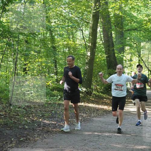 22.09.2024 - 32. Volkslauf durch das schöne Alstertal Miley Keyser http://msf.ph/oto/7137314 22.09.2024 10:21:38 Laufen 1637, 1537 meine-sportfotos.de