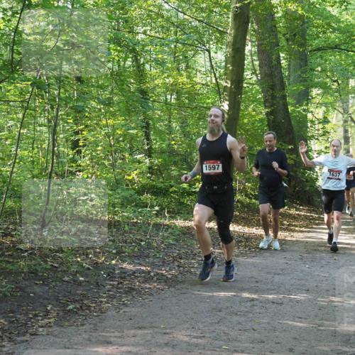 22.09.2024 - 32. Volkslauf durch das schöne Alstertal Miley Keyser http://msf.ph/oto/7137319 22.09.2024 10:21:37 Laufen 1597, 1637, 1593, 1537 meine-sportfotos.de