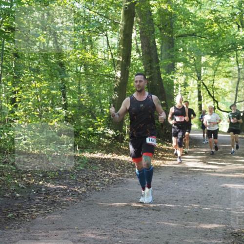 22.09.2024 - 32. Volkslauf durch das schöne Alstertal Miley Keyser http://msf.ph/oto/7137330 22.09.2024 10:21:35 Laufen 161, 1597 meine-sportfotos.de