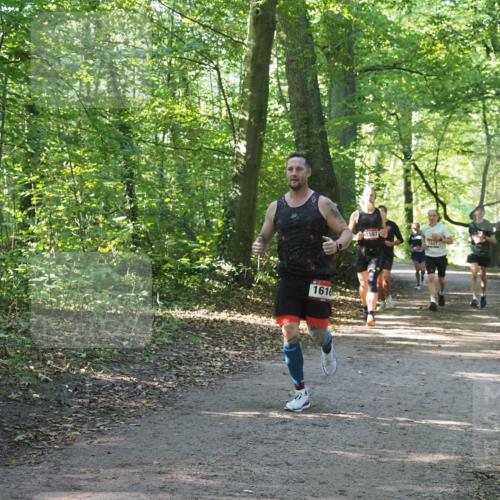 22.09.2024 - 32. Volkslauf durch das schöne Alstertal Miley Keyser http://msf.ph/oto/7137331 22.09.2024 10:21:34 Laufen 1616, 1597, 1637 meine-sportfotos.de