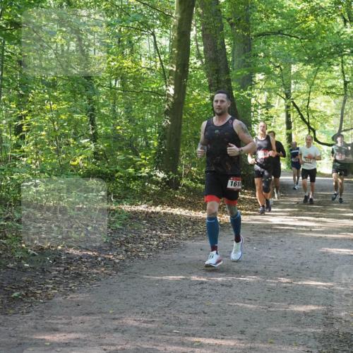 22.09.2024 - 32. Volkslauf durch das schöne Alstertal Miley Keyser http://msf.ph/oto/7137333 22.09.2024 10:21:34 Laufen 1616, 597, 1637 meine-sportfotos.de