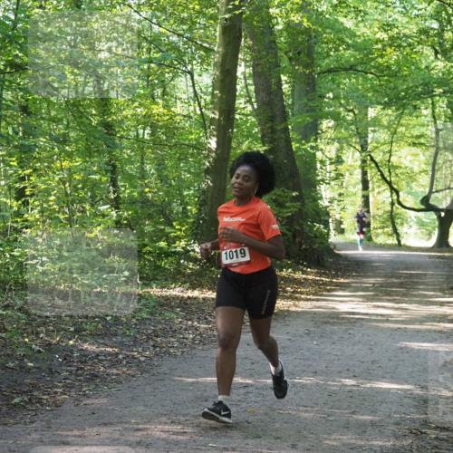 22.09.2024 - 32. Volkslauf durch das schöne Alstertal Miley Keyser http://msf.ph/oto/7137334 22.09.2024 10:21:24 Laufen 1019 meine-sportfotos.de