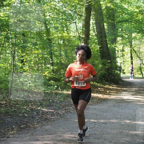 22.09.2024 - 32. Volkslauf durch das schöne Alstertal Miley Keyser http://msf.ph/oto/7137338 22.09.2024 10:21:24 Laufen 1019 meine-sportfotos.de