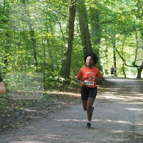 22.09.2024 - 32. Volkslauf durch das schöne Alstertal Miley Keyser http://msf.ph/oto/7137339 22.09.2024 10:21:23 Laufen 006, 1019 meine-sportfotos.de