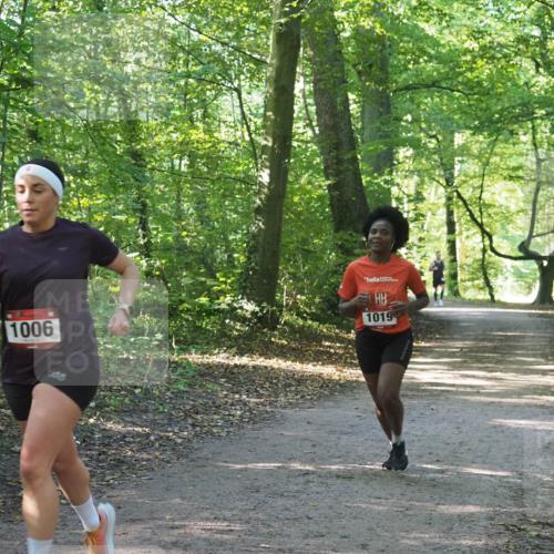 22.09.2024 - 32. Volkslauf durch das schöne Alstertal Miley Keyser http://msf.ph/oto/7137340 22.09.2024 10:21:23 Laufen 1006, 1019 meine-sportfotos.de