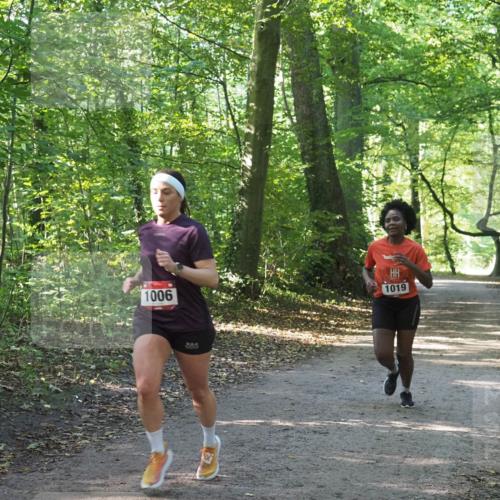 22.09.2024 - 32. Volkslauf durch das schöne Alstertal Miley Keyser http://msf.ph/oto/7137342 22.09.2024 10:21:23 Laufen 1006, 1019 meine-sportfotos.de