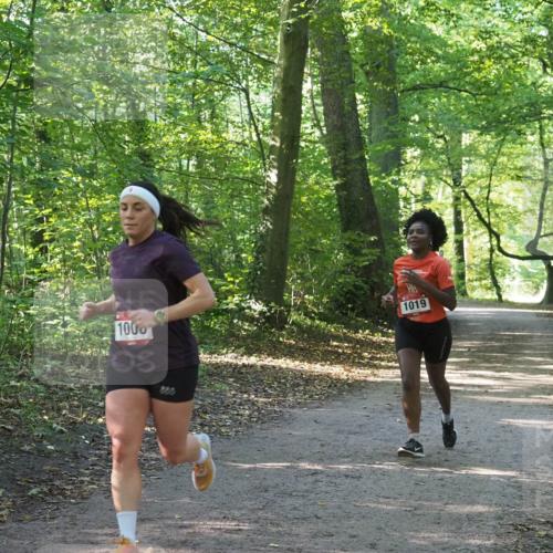 22.09.2024 - 32. Volkslauf durch das schöne Alstertal Miley Keyser http://msf.ph/oto/7137343 22.09.2024 10:21:23 Laufen 1000, 1019 meine-sportfotos.de