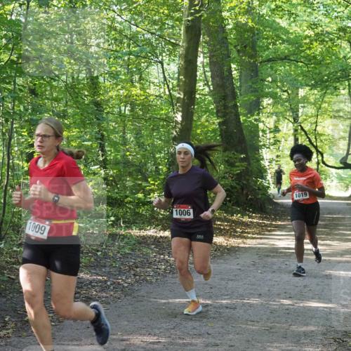22.09.2024 - 32. Volkslauf durch das schöne Alstertal Miley Keyser http://msf.ph/oto/7137344 22.09.2024 10:21:22 Laufen 1009, 1006, 822, 1019 meine-sportfotos.de