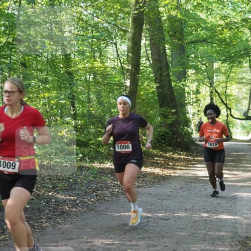 22.09.2024 - 32. Volkslauf durch das schöne Alstertal Miley Keyser http://msf.ph/oto/7137345 22.09.2024 10:21:23 Laufen 1009, 1006, 1015 meine-sportfotos.de