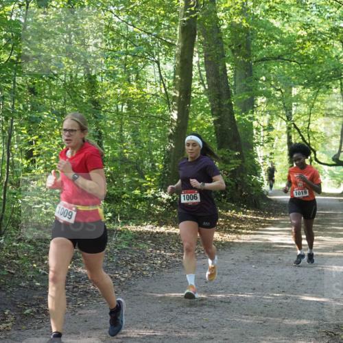 22.09.2024 - 32. Volkslauf durch das schöne Alstertal Miley Keyser http://msf.ph/oto/7137346 22.09.2024 10:21:22 Laufen 1009, 1006, 1019 meine-sportfotos.de