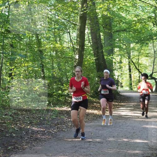 22.09.2024 - 32. Volkslauf durch das schöne Alstertal Miley Keyser http://msf.ph/oto/7137348 22.09.2024 10:21:21 Laufen 1009, 1006, 019 meine-sportfotos.de