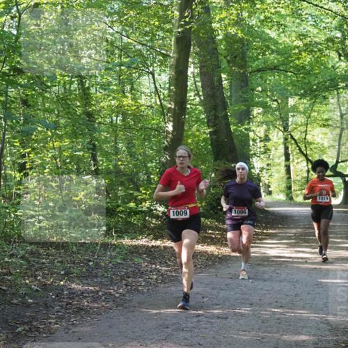 22.09.2024 - 32. Volkslauf durch das schöne Alstertal Miley Keyser http://msf.ph/oto/7137349 22.09.2024 10:21:21 Laufen 1009, 1006, 1019 meine-sportfotos.de