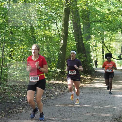 22.09.2024 - 32. Volkslauf durch das schöne Alstertal Miley Keyser http://msf.ph/oto/7137350 22.09.2024 10:21:22 Laufen 1009, 1006, 1019 meine-sportfotos.de
