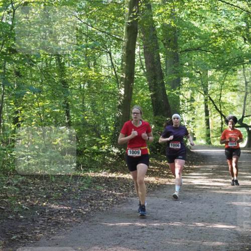 22.09.2024 - 32. Volkslauf durch das schöne Alstertal Miley Keyser http://msf.ph/oto/7137351 22.09.2024 10:21:21 Laufen 1009, 1006, 888, 1019 meine-sportfotos.de