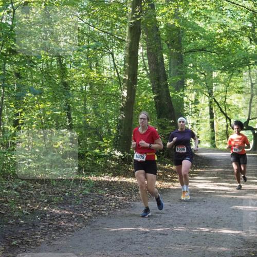 22.09.2024 - 32. Volkslauf durch das schöne Alstertal Miley Keyser http://msf.ph/oto/7137352 22.09.2024 10:21:21 Laufen 1009, 1006, 1019 meine-sportfotos.de
