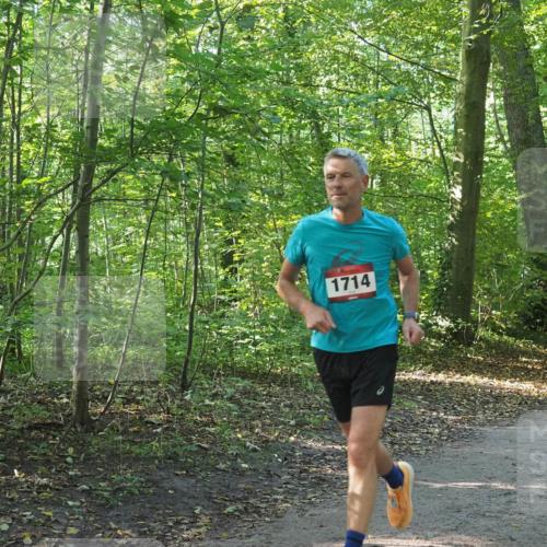 22.09.2024 - 32. Volkslauf durch das schöne Alstertal Miley Keyser http://msf.ph/oto/7137354 22.09.2024 10:21:18 Laufen 1714 meine-sportfotos.de