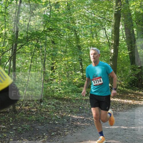 22.09.2024 - 32. Volkslauf durch das schöne Alstertal Miley Keyser http://msf.ph/oto/7137355 22.09.2024 10:21:18 Laufen 1714, 1009 meine-sportfotos.de