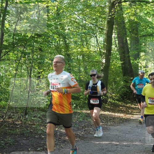22.09.2024 - 32. Volkslauf durch das schöne Alstertal Miley Keyser http://msf.ph/oto/7137358 22.09.2024 10:21:16 Laufen 157, 1015, 1714, 160 meine-sportfotos.de