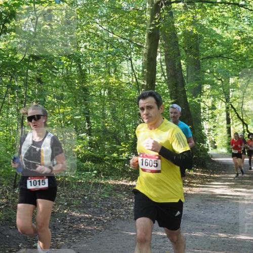 22.09.2024 - 32. Volkslauf durch das schöne Alstertal Miley Keyser http://msf.ph/oto/7137361 22.09.2024 10:21:17 Laufen 1015, 1605 meine-sportfotos.de