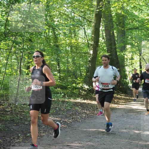 22.09.2024 - 32. Volkslauf durch das schöne Alstertal Miley Keyser http://msf.ph/oto/7137385 22.09.2024 10:21:00 Laufen 1005, 1558, 1549 meine-sportfotos.de