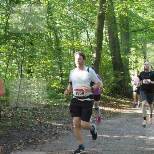 22.09.2024 - 32. Volkslauf durch das schöne Alstertal Miley Keyser http://msf.ph/oto/7137387 22.09.2024 10:21:00 Laufen 1558, 1545 meine-sportfotos.de