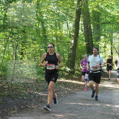 22.09.2024 - 32. Volkslauf durch das schöne Alstertal Miley Keyser http://msf.ph/oto/7137391 22.09.2024 10:20:59 Laufen 101, 1005, 1558, 1603, 1549 meine-sportfotos.de