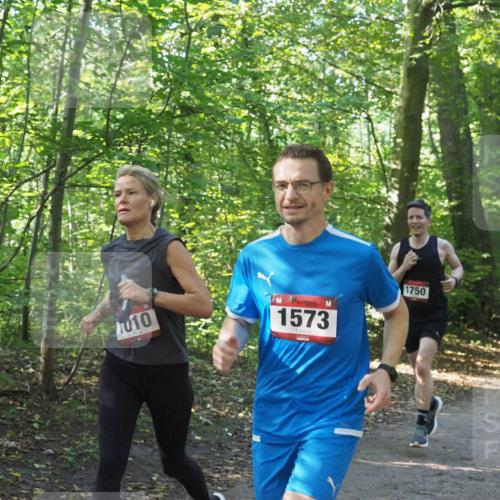 22.09.2024 - 32. Volkslauf durch das schöne Alstertal Miley Keyser http://msf.ph/oto/7137405 22.09.2024 10:20:55 Laufen 010, 1573, 1750 meine-sportfotos.de