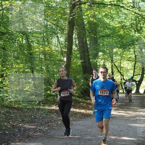 22.09.2024 - 32. Volkslauf durch das schöne Alstertal Miley Keyser http://msf.ph/oto/7137412 22.09.2024 10:20:54 Laufen 1010, 1573, 1550 meine-sportfotos.de